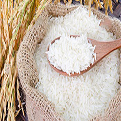 Miniket Rice